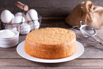 Fresh sponge cake. Chiffon biscuit for cake, selective focus