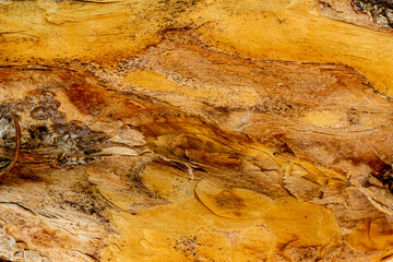 Old wooden texture background that has natural cracks