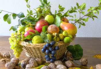 Autumn season and nature concept, beautiful assortment of fruits in a basket on a wooden table. Composition of a variety of organic fruits, Red and white grapes, apples, pomegranate, figs and nuts.