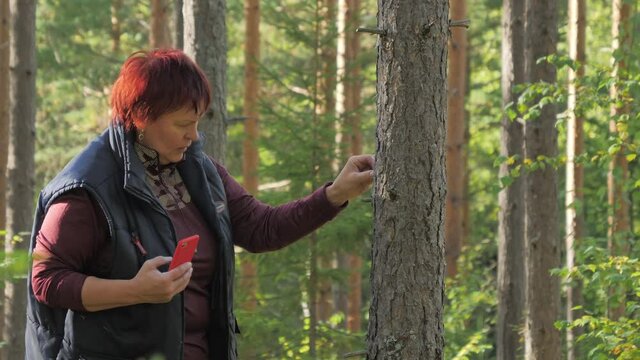 The lady taking photos of the tree trunk in Espoo Finland