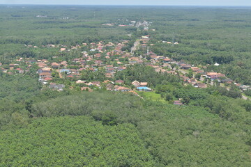 Naklejka premium Aerial photo of a small village in Banyuasin, Indonesia