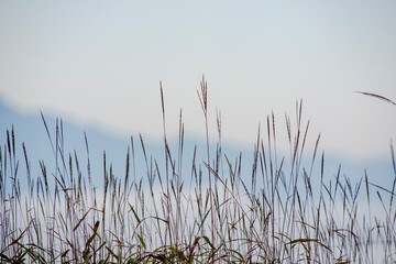 Fototapeta premium Natural world Mountain