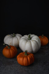 Decorative orange and white pumpkins on a stone slate on a dark gray marble background.