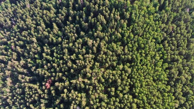 aerial view of the ural mountains, arakul shikhan, Southern Urals