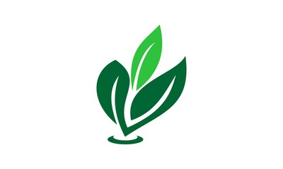 vector logo nature leaf