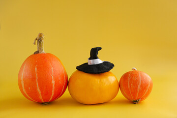 Three orange pumpkins in a witch hat on yellow backgrounds.