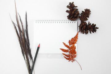 Blank notepad on white background decorated with autumn plant composition. Top view, flat lay, copy space