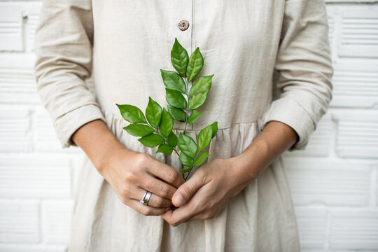 hands holding plant, eco clothes