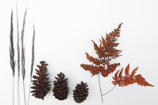 Autumn Composition. Pattern Made Of Dry Leaves And Pine Cone On White Background. Autumn, Fall Concept. Flat Lay, Top View