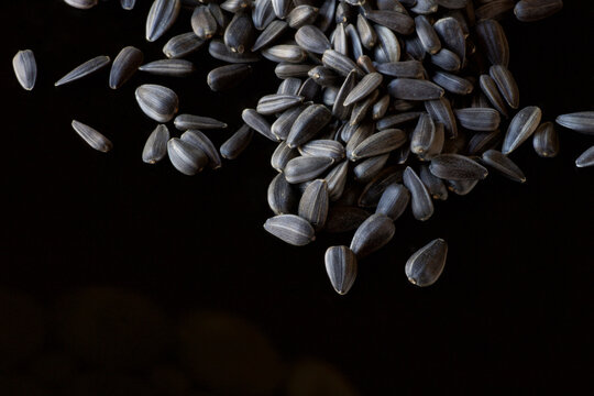 Group Of Sunflower Seeds On Black Background