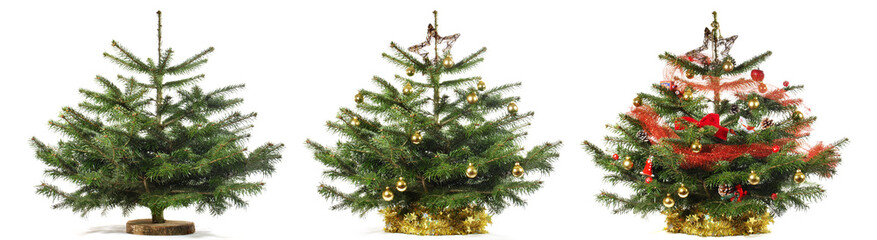 Decorate small Classic Christmas Tree at Christmas Eve - Isolated on white Background