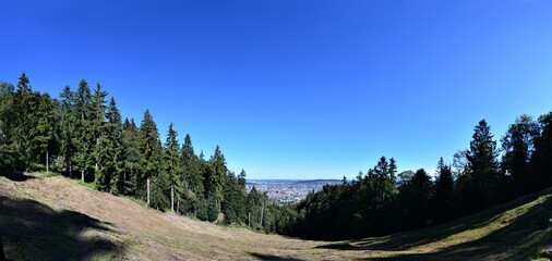 Fototapeta na wymiar Panorama of Zurich from the forest in fine weather