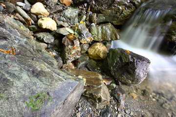 Mountain stream in autumn. Stream in the forest.