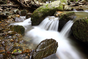 Fototapeta na wymiar Mountain stream in autumn. Stream in the forest.