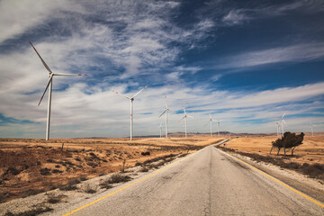 Fototapeta Parc éolien en Jordanie obraz