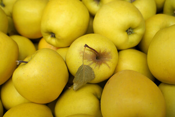 yellow apples in a market