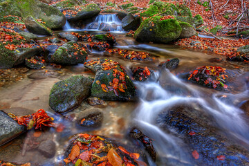 Mountain stream in autumn. Stream in the forest.