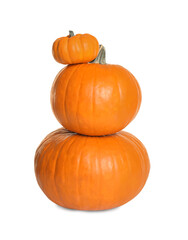 Fresh ripe pumpkins isolated on white. Organic plant