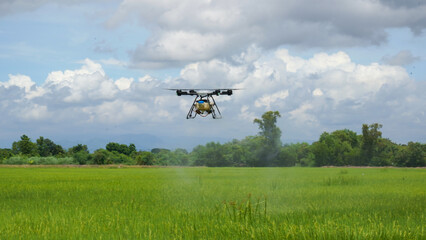 Agriculture drone fly to sprayed fertilizer