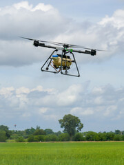 Fototapeta na wymiar Agriculture drone fly to sprayed fertilizer