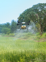 Agriculture drone fly to sprayed fertilizer
