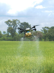 Agriculture drone fly to sprayed fertilizer