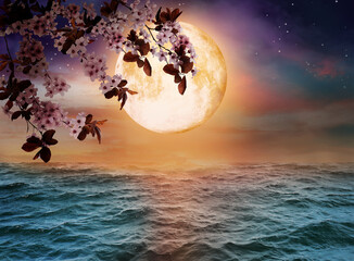 Fantasy world. Blossoming cherry tree branch and full moon in starry sky over ocean