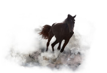 Beautiful horse kicking up dust while running on white background