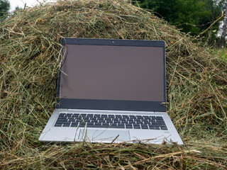 an open silver laptop is lying on a haystack. Close-up, modern technologies in rural areas. Blank screen.