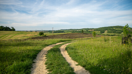 Pretty dirt road in the middle of a green landscape