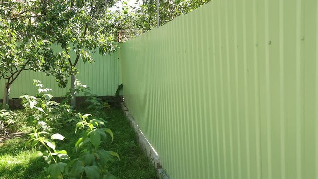 Green metal fence beautiful, bright. Plate in garden yard. Siding. Seamless surface of galvanized steel. Industrial building wall made corrugated iron sheet. Tile, modern material for roof houses.