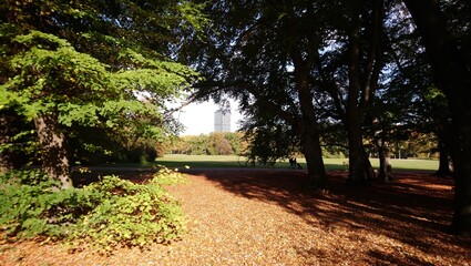 Autumn in Treptower park in capital of Germany