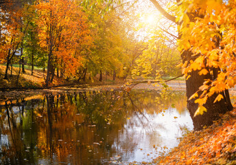 Autumn Golden forest nature, forest lake with water view. Nature of the Golden forest. Landscape of beautiful nature.