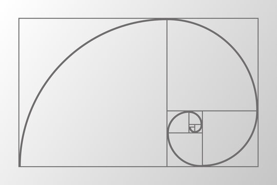 recommend clip art: Abstract illustration with golden ratio on gray background. Art&gold. Spiral pattern. Line drawing. Vector illustration.