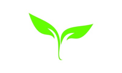 logo leaf vector