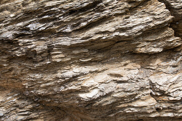 texture made of sediments and shells with many roughnesses carved by the sea