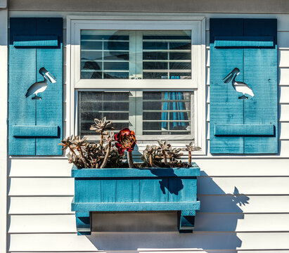 White window with blue shutters in California