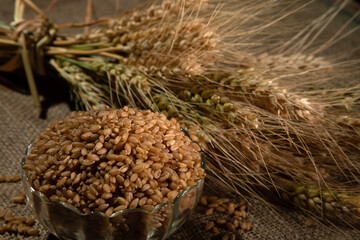 Wheat spike and wheat grains