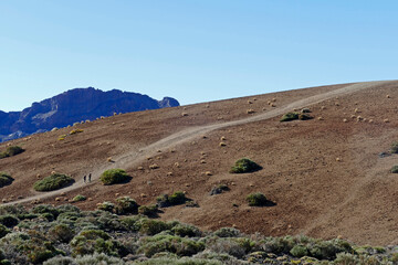 Scenic landscape in Teide National Park, in Tenerife, Canary Islands, Spain 