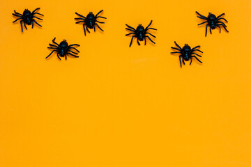 Halloween background with spider on orange background