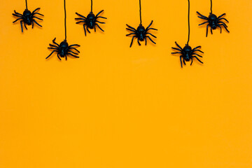 Halloween background with  spider on orange background
