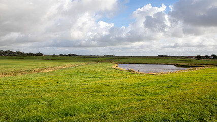 Wiese mit Teich bei Westerhever