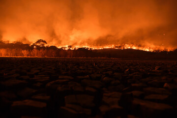 fire in the Pantanal 