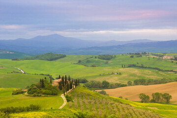 Fototapeta na wymiar Spring sunrise over the green fields of Val d'Orcia in Tuscany