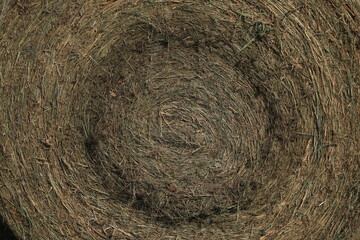 round bale of hay close up