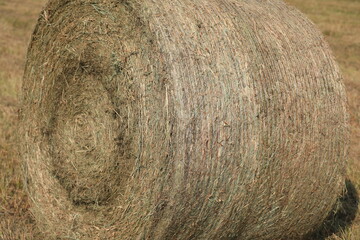 round bale of hay close up