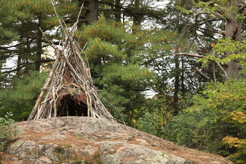 Branch shelter on top of rock in forest