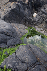 Rock pools at Boat Cove Pendeen Cornwall