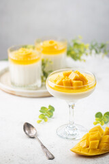 Italian dessert panna cotta with mango in glass on white background