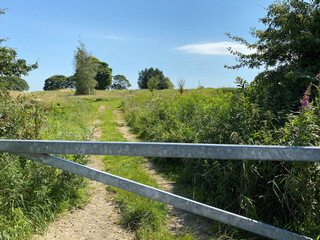 Looking over a metal farm gate, onto a cart track, leading over the field, with trees and a blue sky on, Priesthorpe Road, Calverley, Leeds, UK